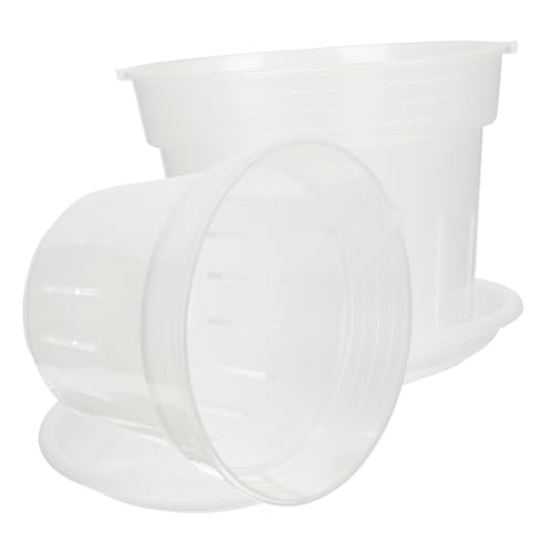 PHENOFICE 2 Macetas Pequeñas Colgantes para Plantas De Interior, Macetas Colgantes para Exteriores, Macetas Pequeñas De Plástico para Flores, Macetas para Plantas.