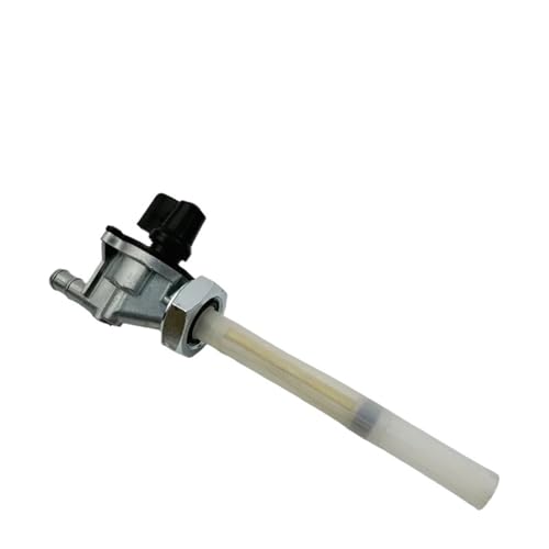 Filtro de bomba de gasolina para Honda VT750DC Shadow: viaja sin interrupciones