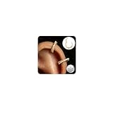 GXNRHG 2 Piezas G23 Titanio Helix Piercing Joyería Hipoalergénico Concha Aro Huggie Bisagra Clicker Nariz Anillo Septum Anillos Plata/Oro Cartílago Torre Daith Tragus Concha Piercing