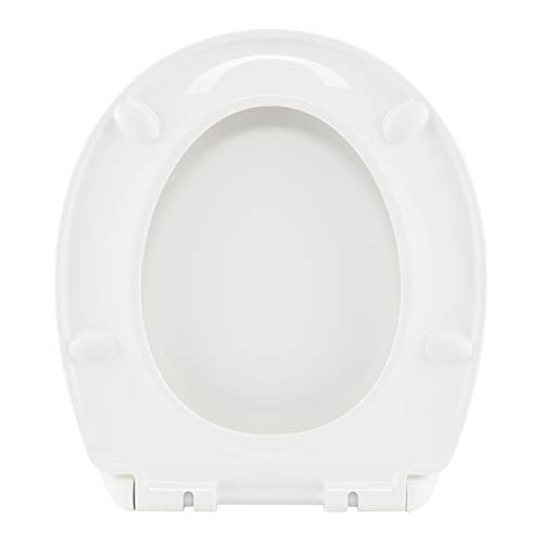 Find The Best Toilet Seats For Obese Reviews & Comparison Katynel