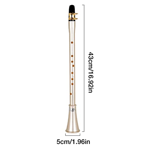 Kit de Saxofone de Bolso | Estudantes Adultos e Instrumento Profissional Iniciante | Saxofone portát