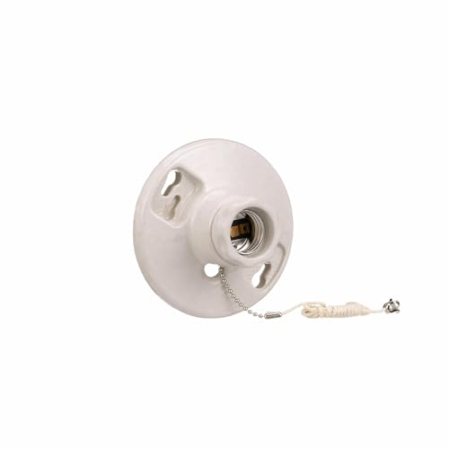 Eaton 659-SP 660-Watt 250-volt Medium Base Ceiling Receptacle Lamp Holder with Pull Chain Porcelain White