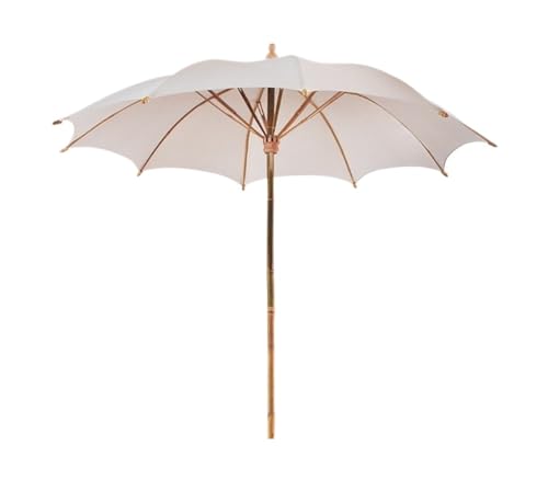 Sombrilla exterior CLSDRZC parasol decorativo para patio y jardín