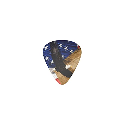 アメリカ 米国 タカ ワシ ブルー デザインギターピック guitar pick ティアドロップ型 エレキギター/アコースティックギター/クラシックギター/ベース等の練習に最適な12枚セット