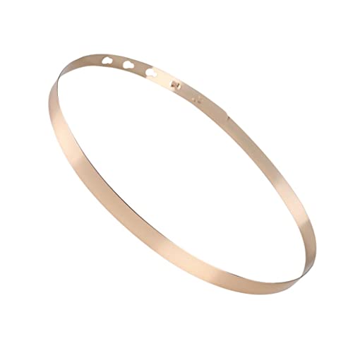 Women's Waistband Plate Waist Fashion Metal Belt Mirror Band, Gold, 76 x 2 cm