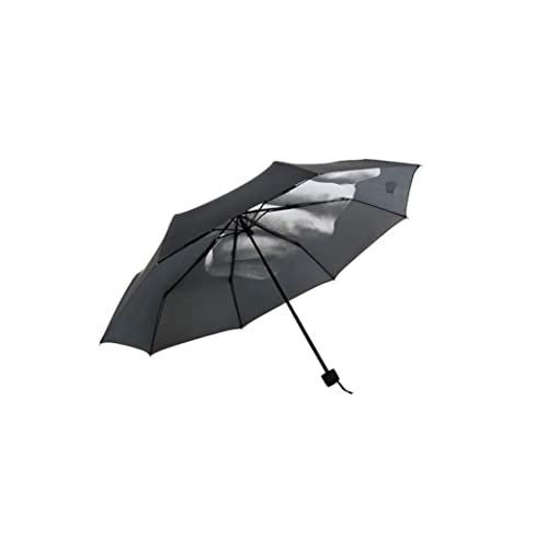 Parapluie Pliant, Parapluie créatif du Milieu du Doigt, Parapluie de Poche léger pour Femmes Hommes Cover