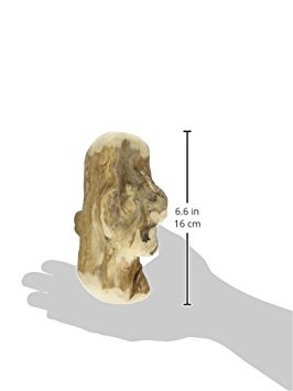 Jouet à mâcher sûr et durable de qualité supérieure pour chien