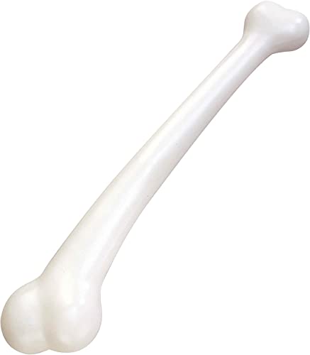 Forum Novelties Prehistoric Caveman Cavewoman Costume...