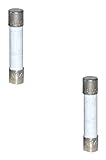 Hot Tub 1.25 Amp, 250 Volt, Standard Fuse 2 Pack Compatible with Most Sundance Spa SUN6660-112