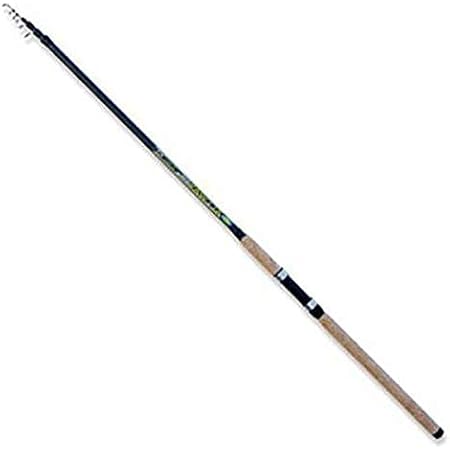 Canne da pesca 4.20 Clearance