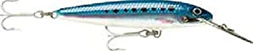 CDMAG11 BSRD Esche Artificiali da Pesca Unisex-Adult Blue Sardine 11 cm 24 g