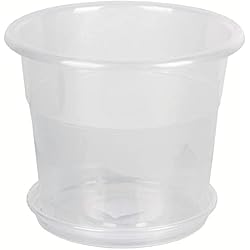 Macetero Transparente Ikea Sempreviva Maceta de plástico Transparente con Plato,25 x 25 x 20 cm, Macetero, Maceta, Jardinera.