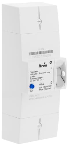 Disjoncteur EDF Itron 60A 230V instantané sécurité tableau