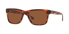 Shiny Tortoise/Copper Polarized-580g