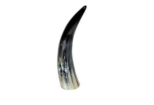 Corno Noble 20-90 cm + Horn 21-30 cm