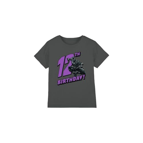 Black Panther Boys Birthday 12 Unisex Kids T-Shirt, Charcoal, 3-4 Years UK