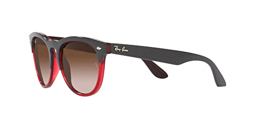 Ray-Ban RB4471 Iris Round Sunglasses3