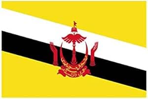 Bandiera Brunei 300 x 450 cm in Poliestere Nautico Ignifugo 115 g/mq per Uso Interno ed Esterno con Finiture Professionali, Doppie Cuciture, Corda e Guaina, Colori Brillanti e Duraturi - Made in Italy