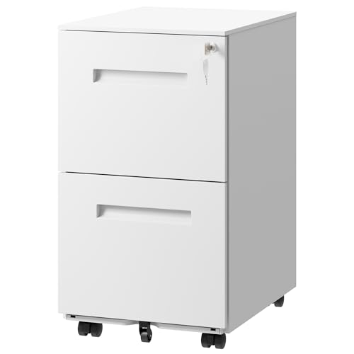 DEVAISE 2-Drawer Metal File Cabinet with Lock, Mobile Filing Cabinet Under Desk for Home Office, Fully Assembled Printer Stand fits F4/A4/Letter/Legal Size, White, 20" D x 15" W x 27" H