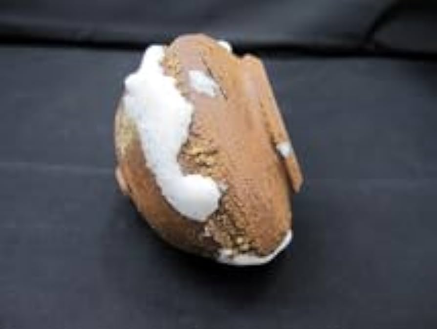 北海磯焼　一輪挿？　花瓶？ 北海磯焼 一輪挿？ 花瓶？