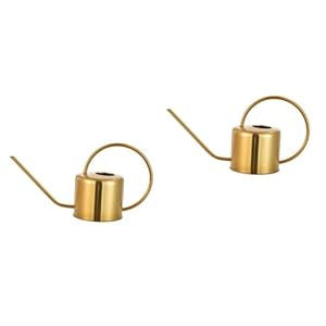 POPETPOP RVS waterkoker gieter buiten druppelaar gieter mini vetplant gieter voor kamerplanten buitenkraan waterkruik Hangplanten sappig watergeefapparaat Tuingereedschap Golden