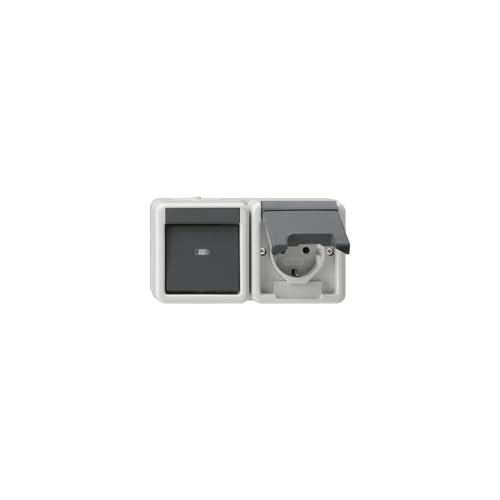 GIRA 417730 Kombination Wippschalter/SCHUKO-Steckdose 16 A 250 V~ waagerecht mit Klappdeckel Universal-Aus-Wechselschalter, Grau GIRA 417730 Kombination Wippschalter/SCHUKO-Steckdose 16 A 250 V~ waagerecht mit Klappdeckel Universal-Aus-Wechselschalter, Grau