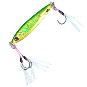 Amazon.co.jp: ダイワ(DAIWA) ソルティガCVジグSLJ 30g MG