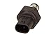 Delphi Sensor Kraftstofftemperatur 9307-531A