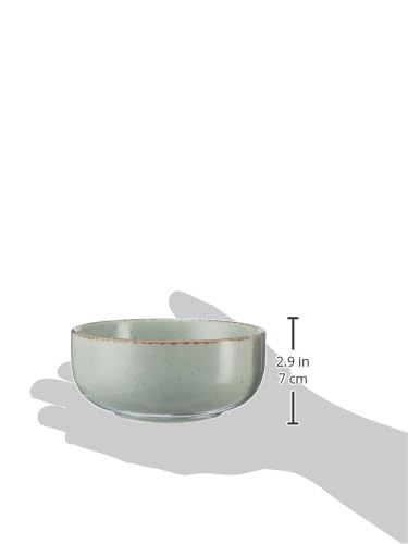 Image of The Earth Store Glossy Mint Marble 580ml Each Ceramic Bowls Set of 2 for Serving Snacks, Pasta, Noodle, Maggi, Cereal Microwave Safe Serving Bowl Set | Perfect for Gifting, Daily Use