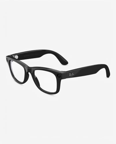 RAY-BAN META RW 4008 ウェイファーラー