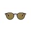 Light Havana / B|15 Brown