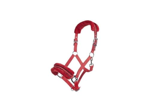 Licol Rouge HKM Glitter Idéal pour les Concours et Sorties aux Écuries