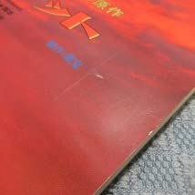 Amazon.co.jp: B391○ スカーレットパンフレット 松平健 大地真央