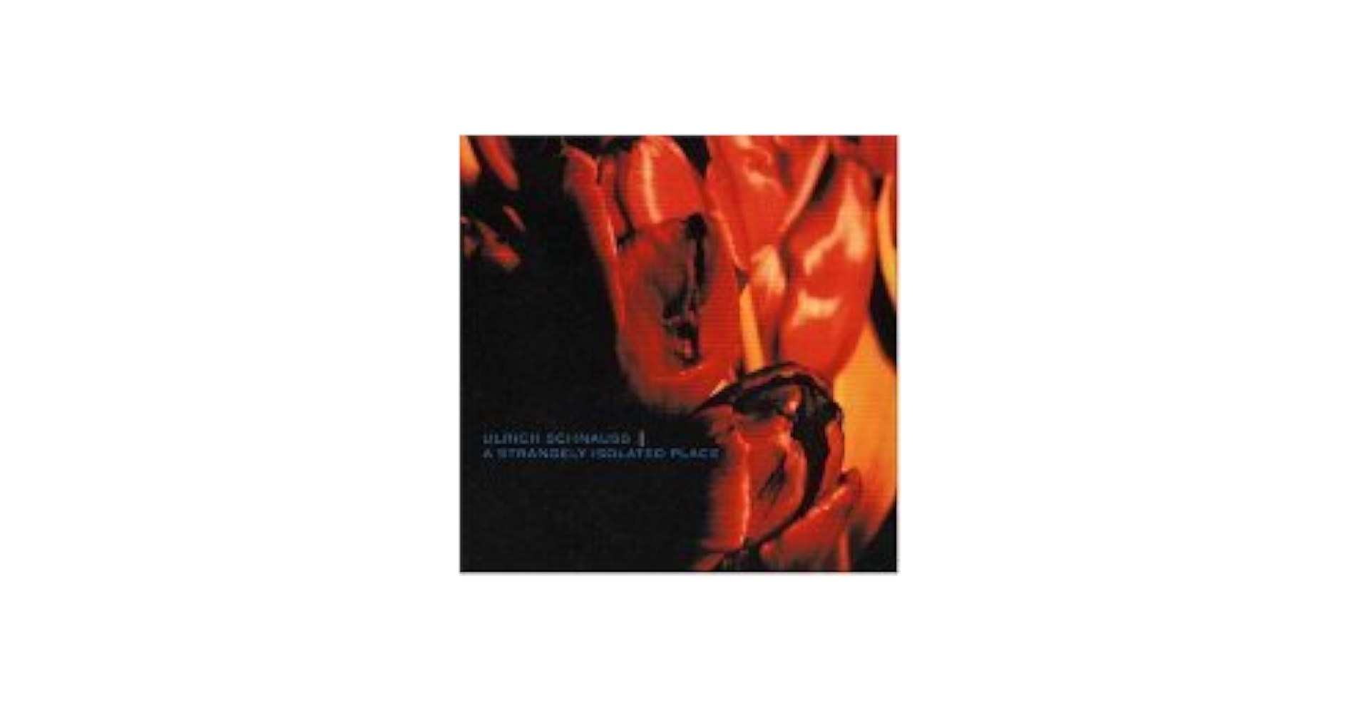 SCHNAUSS,ULRICH - Strangely Isolated Place - Amazon.com Music