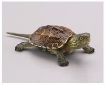 Amazon カプセルq ミュージアム 日本のペット動物大全 第一集 10 銭亀 ゼニガメ 通常色 単品 フィギュア ドール 通販