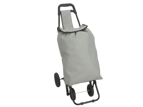 Carrito Compra Cuatro Ruedas 36L 35 x 48 x 84 cm