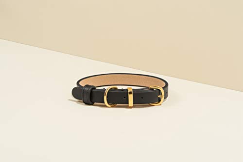 Scamper & Co Hundehalsband aus echtem Leder mit Mikrofaser-Schmucksteinen, Pyramidenbesetzt, 33 cm, Schwarz