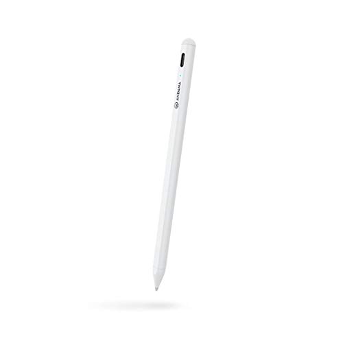 Andana A2 Compatible Pencil for iPad, Slim Stylus Apple Pen like for iPad Pro (3rd Gen,11 &12.9), iPad (6th Gen), iPad Air (3rd Gen) and iPad Mini (5th Gen) with magnetic grip and USB-C