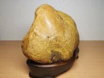 Amazon.co.jp: 黄茶4.8kg 土岐石 黄玉石 黄石 ジャスパー 原石 碧玉
