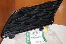 Genuine LAND ROVER BUMPER COVER GRILLE RANGE ROVER 06-09 RH DXB500340PUY