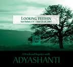 Looking Within, San Rafael, CA - June 23-24, 2007: A Weekend Inquiry with Adyashanti
