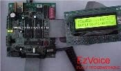 Elevator Voice Announcer, Digital Floor Announcement System, BuyElevators Replacement to CE Electronics