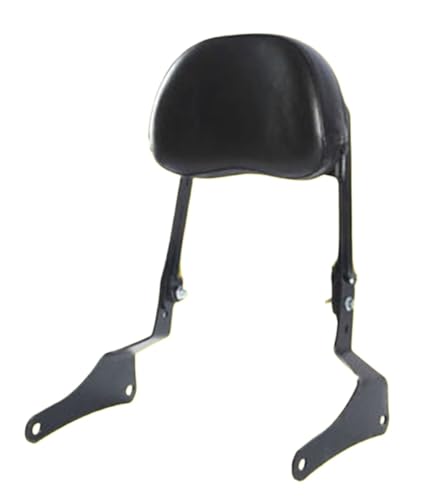 1PC NEW Backrest shelf 300s QJ300-12