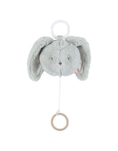 NOUKIE'S - Peluche Musicale Nomade 20 cm - Lapin Verdi Vert avec Anneau et accroche pour Poussette, Voiture - Éveil Musical - Cadeau Bébé