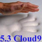 5.3 Cloud9 Queen 2 Inch 100% Visco Elastic Memory Foam Mattress Topper