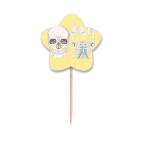 Illustration squelette cure-dents drapeaux avec détails nervures fins