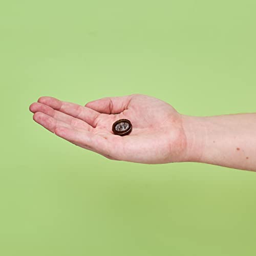 Wedderspoon Manuka Honey Immunity Lozenges, Cool Mint, 2.6 Oz (Pack of 1), Genuine New Zealand Honey, Boost Immunity Within Two Hours