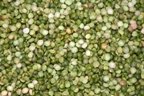 Peas, Split, Green, Organic, 5# Bulk