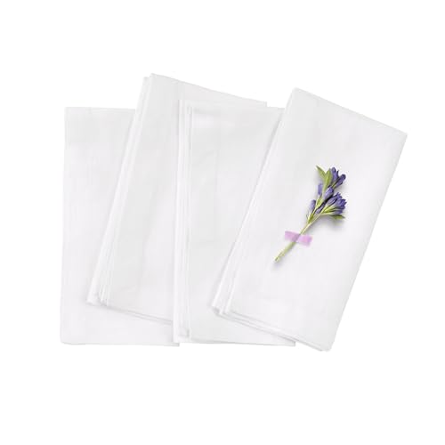 TRITON LINEN 100% Pure French Linen Dinner Napkins-(White, 20x20 Inch)