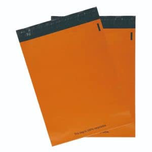YNK Courier Bags 12 X 14 With Jackat Pod Glossy finished Secured bag/Sales Envelopes Polybag (Pack of 100) (B0B2DR2YYR) Amazon Price History, Amazon Price Tracker